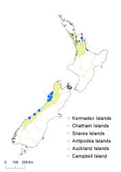 Gleichenia inclusisora distribution map based on databased records at AK, CHR and WELT.
 Image: K. Boardman © Landcare Research 2015 CC BY 3.0 NZ